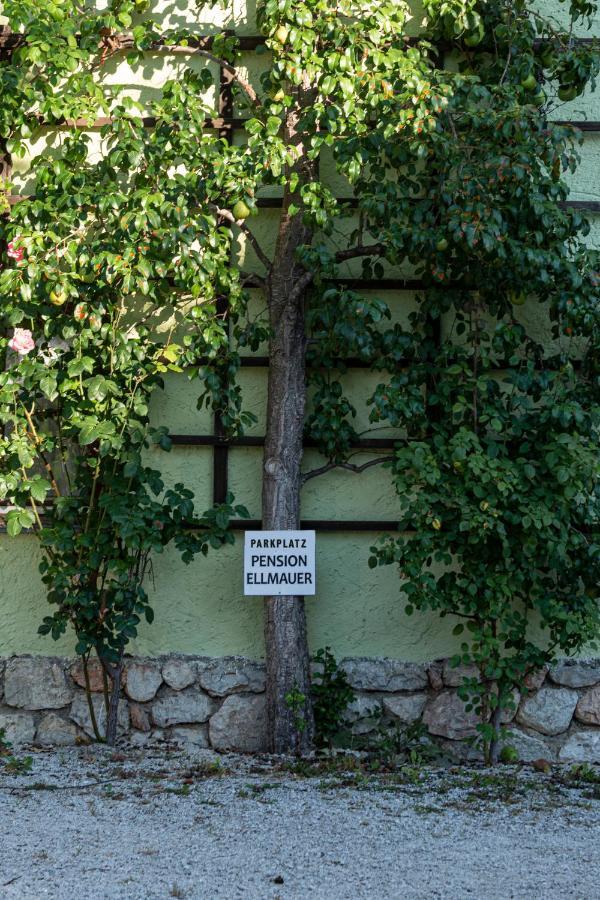 Aberseeblick Pension Ellmauer Apartment Sankt Wolfgang im Salzkammergut ภายนอก รูปภาพ