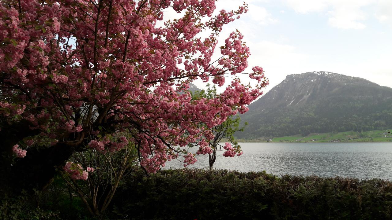 Aberseeblick Pension Ellmauer Apartment Sankt Wolfgang im Salzkammergut ภายนอก รูปภาพ